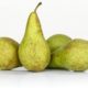 Peren Conference